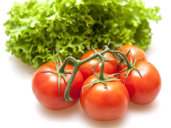 Branch of red ripe tomatoes and bunch of salad — Stock Photo, Image