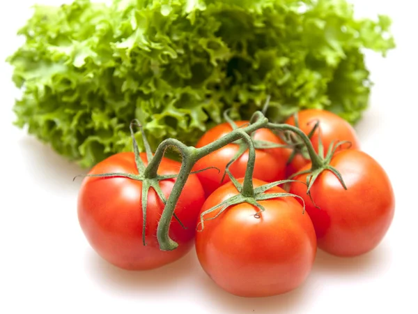 Zweig roter reifer Tomaten und Bund Salat — Stockfoto