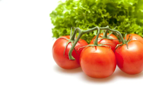 Zweig roter reifer Tomaten und Bund Salat — Stockfoto