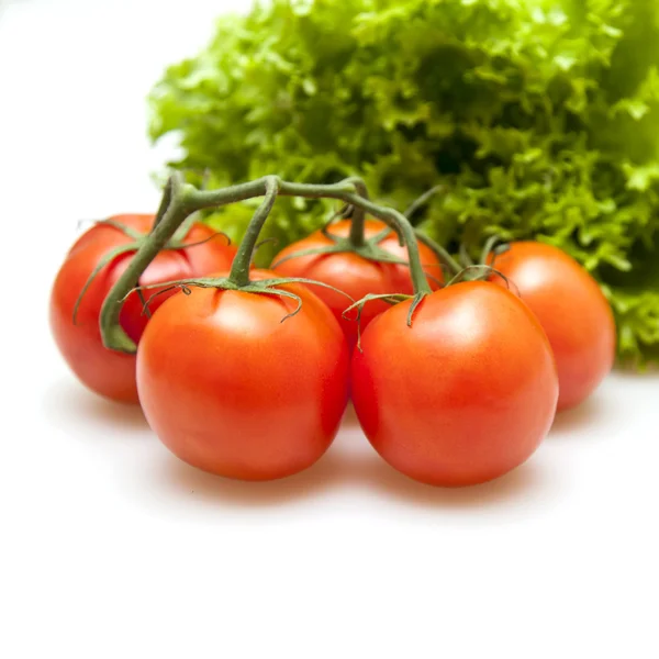 Zweig roter reifer Tomaten und Bund Salat — Stockfoto