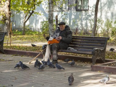 Pushkino, Rusya Federasyonu - 15 Ekim 2013 tarihinde. Yaşlı kişi kuşlar Bulvarı'nda beslenir..