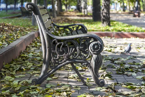 普希金诺，俄罗斯-关于 2013 年 10 月 15 日。在林荫大道上美丽的长凳。秋天的感觉. — 图库照片