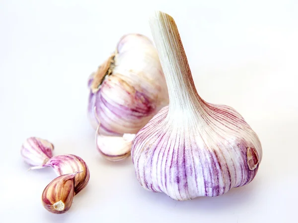 Cabezas de ajo fresco — Foto de Stock