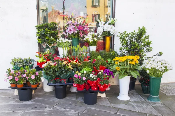 Varios ramos de flores en un escaparate de la calle de la florería — Foto de Stock