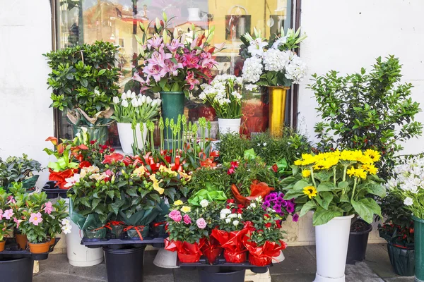 Varios ramos de flores en un escaparate de la calle de la florería — Foto de Stock