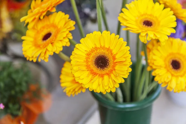 Bouquet of yellow gerber on a show-window of flower shop — Stockfoto