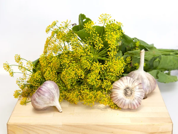 La verdura, las hierbas picantes y el ajo para el salazón de los pepinos — Foto de Stock