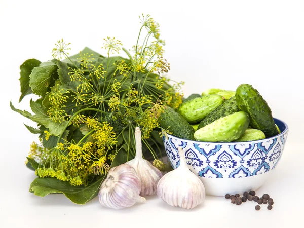 Verdi, erbe piccanti e aglio per insalatura di cetrioli — Foto Stock