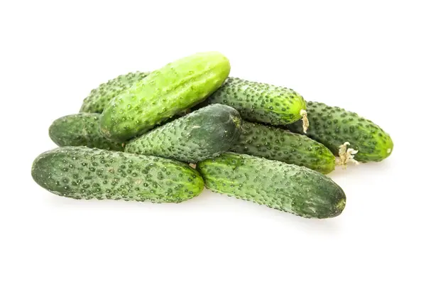 De verse komkommers verzameld op een bed — Stockfoto