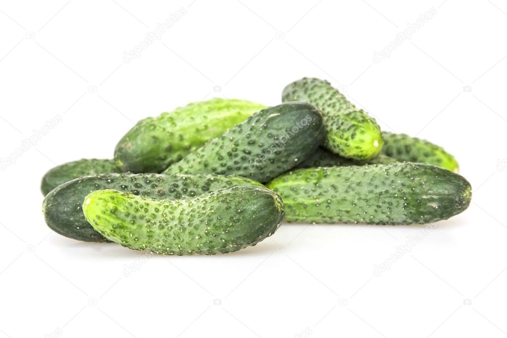 The fresh cucumbers collected on a bed