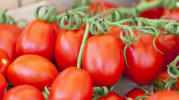 Tomatoes on a market counter — Stock Photo, Image