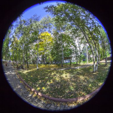 Pushkino, Rusya, 21 Ekim 2015. Bir şehir sonbahar manzarası, ağaçlar Bulvarı'ndaki. Balıkgözü görünümü.