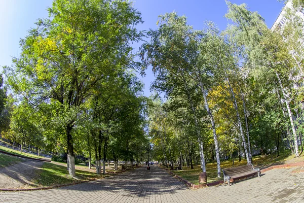 PUSHKINO, RUSIA, 21 de septiembre de 2015. Un paisaje de otoño de la ciudad, árboles en el bulevar. vista de ojo de pez . —  Fotos de Stock