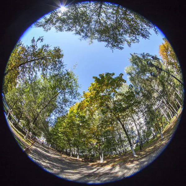 PUSHKINO, RUSIA, 21 de septiembre de 2015. Boulevard, día de otoño, paisaje, vista de ojo de pez . — Foto de Stock