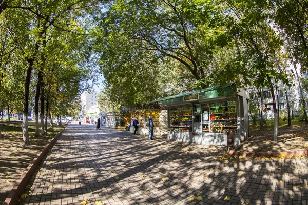 Pushkino, Oroszország, a szeptember 21-én 2015-ig. Boulevard, őszi nap, táj, halszem megtekintése. — Stock Fotó