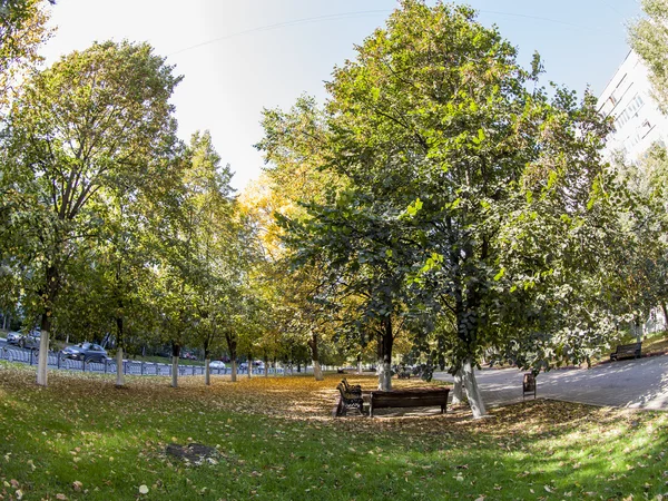 PUSHKINO, RÚSSIA, em 21 de setembro de 2015. Uma paisagem de outono de cidade, árvores na avenida. visão de fisheye . — Fotografia de Stock