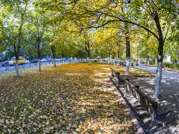 PUSHKINO, RÚSSIA, em 21 de setembro de 2015. Uma paisagem de outono de cidade, árvores na avenida. visão de fisheye . — Fotografia de Stock