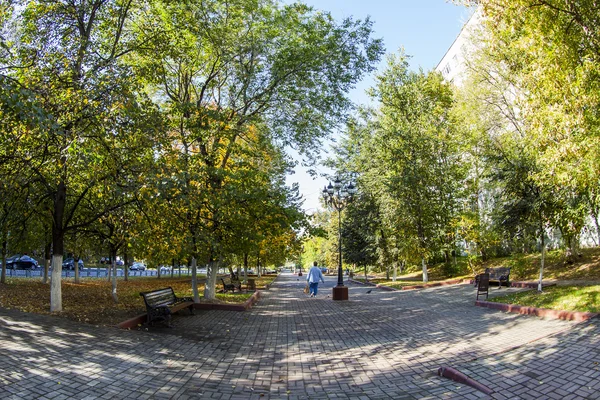 Poesjkino, Rusland, op 21 September 2015. Een stad herfst landschap, bomen in de boulevard. fisheye uitzicht. — Stockfoto