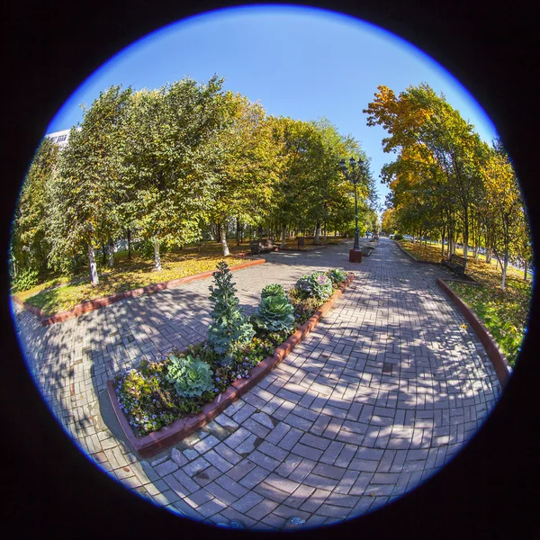 PUSHKINO, RUSSIA, il 21 settembre 2015. Un paesaggio autunnale cittadino, alberi nel viale. vista fisheye . — Foto Stock