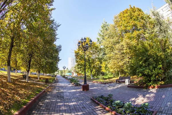 プーシキノ、ロシア、2015 年 9 月 21 日に。市の秋風景、大通りの木。魚眼レンズ ビュー. — ストック写真