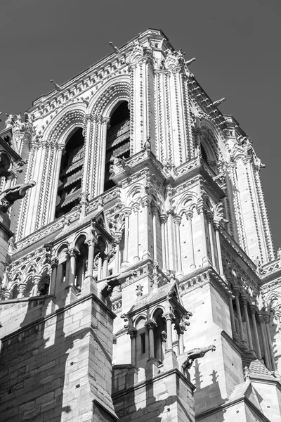 Париж, Франція, на 30 серпня 2015 року. Архітектурні деталі Нотр-Дам де Парі. Нотр-Дам де Парі є одним із символів Парижа. — стокове фото