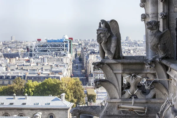 Parijs, Frankrijk, op 30 augustus 2015. Een uitzicht op de stad vanaf een enquête platform op Notre-Dame de Paris. Deze look is een van de mooiste uitzichten over Parijs van boven — Stockfoto