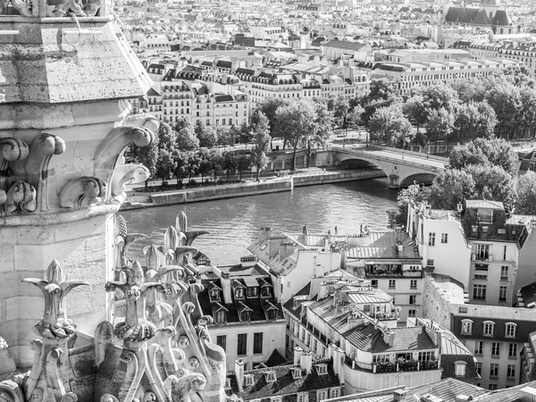 30 Ağustos 2015 tarihinde, Paris, Fransa. Notre-Dame de Paris bir görünüm bir anket platformu şehir. Bu Paris yukarıda en güzel manzaralarını biridir — Stok fotoğraf