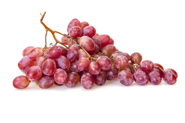 Cluster of ripe juicy grapes — Stock Photo, Image