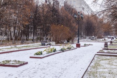 Pushkino, Rusya, 15 Kasım 2015 tarihinde. Kış manzarası, boulevard. Şehirde bir kar fırtınası