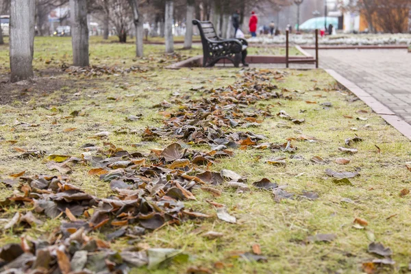 Bir çim Bulvarı'ndaki sonbahar şehir manzara, Kuru yaprak — Stok fotoğraf