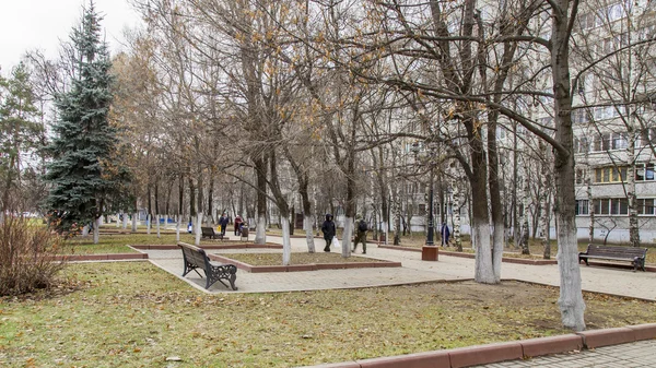 ПУШКИНО, РОССИЯ, 11 ДЕКАБРЯ 2015 г. Осенний пейзаж. Деревья на бульваре — стоковое фото