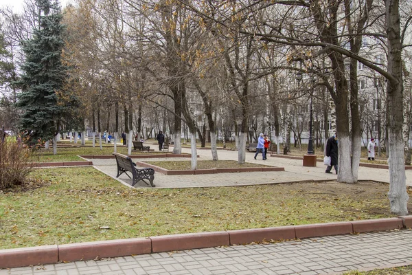 PUSHKINO, RUSIA, el 11 de diciembre de 2015. Paisaje de otoño. Árboles en el bulevar — Foto de Stock