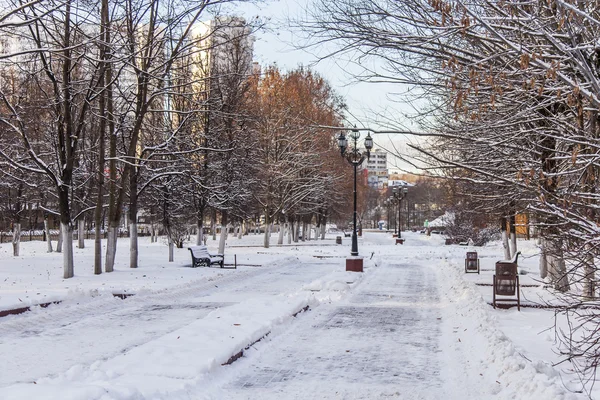 2015年12月17日, 俄罗斯普什基诺。冬季景观。林荫大道上的树木 — 图库照片