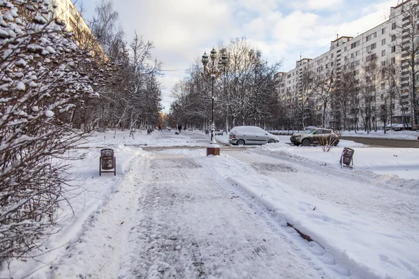 PUSHKINO, RUSIA, el 17 de diciembre de 2015. Paisaje invernal. Árboles en el bulevar — Foto de Stock