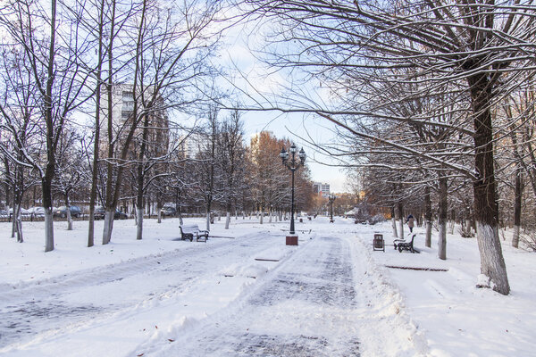 PUSHKINO, RUSSIA, on DECEMBER 17, 2015. Winter landscape. Trees in the boulevard