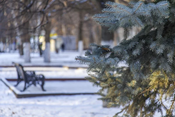 Pushkino, Ryssland - den 1 januari 2016. Stadslandskapet i vinter eftermiddagen. — Stockfoto