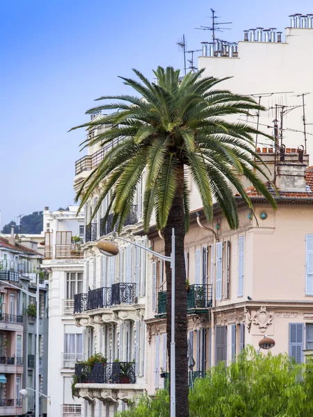 Niza, FRANCIA, en Enero 7, 2016. Palmeras en la calle — Foto de Stock