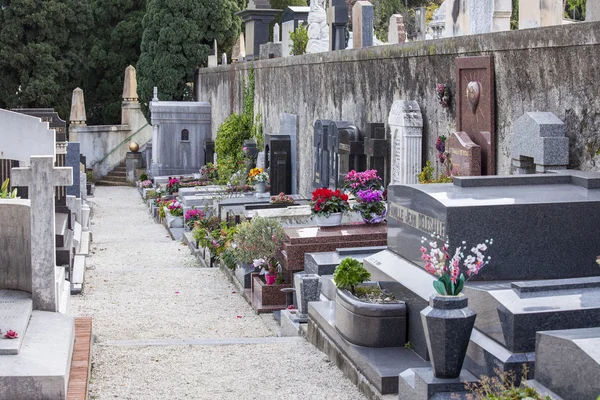 NICE, FRANÇA - on JANEIRO 7, 2016. Monumentos gravestone em um cemitério de cidade na colina de Shatto — Fotografia de Stock