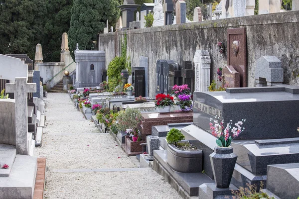 NICE, FRANCE - on JANUARY 7, 2016. Gravestone monuments on a city cemetery on Shatto's hill — Stockfoto