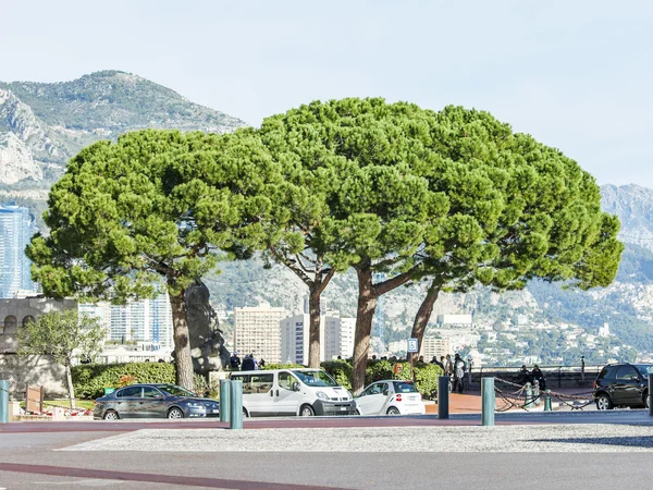 MONTE-CARLO, MONACO, on JANUARY 10, 2016. Picturesque look — Stock Photo, Image