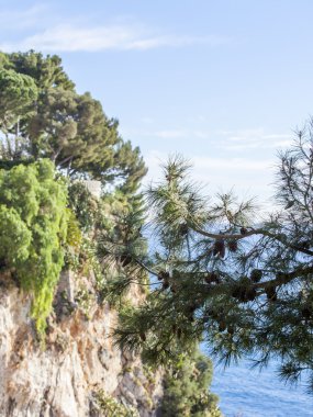 Su deniz Bay üstten görünüm ve dik kaya