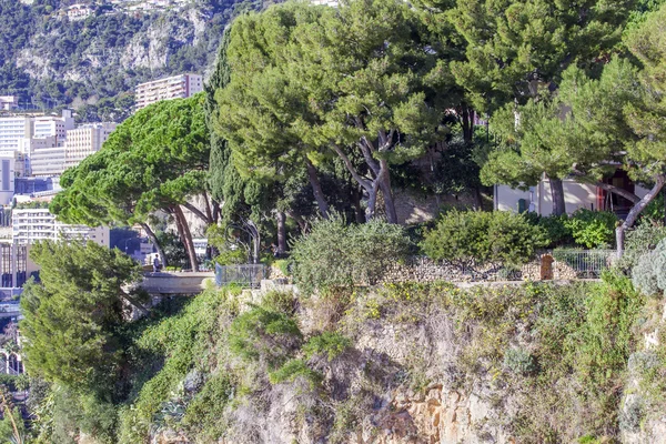 摩纳哥蒙特卡洛, 2016年1月10日。风景如画的景色 — 图库照片