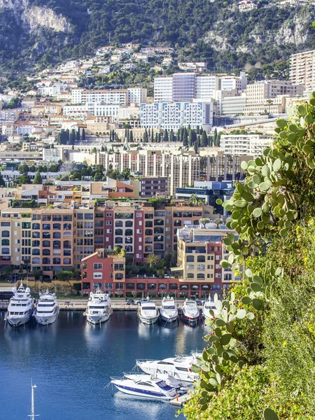 MONTE-CARLO, MONACO, on JANUARY 10, 2016. A view of houses on a slope of the mountain and the yacht at the mooring in a bay — Stock Photo, Image