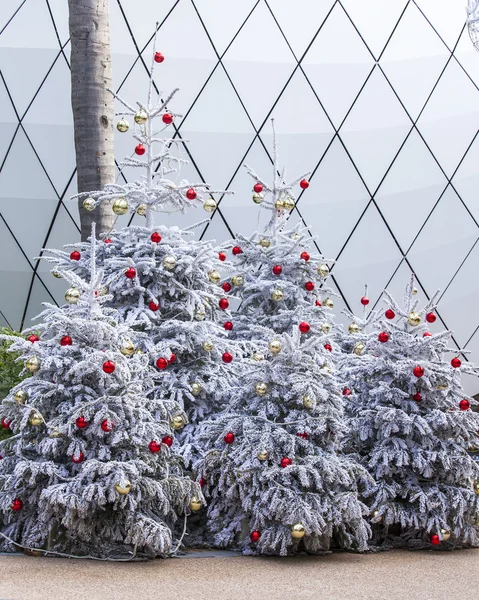 MONTE-CARLO, MONACO, on JANUARY 10, 2016. Christmas fir-trees near near trade pavilion at Christmas fair in Monte-Carlo. — Stock Photo, Image