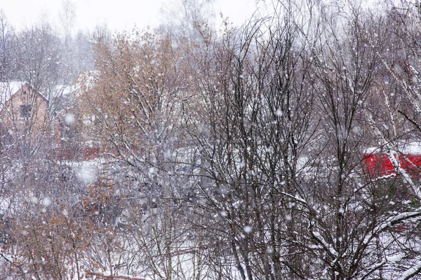 Город пейзаж. Короны покрыты инеем. Близсард . — стоковое фото