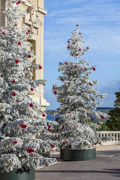 MONTE-CARLO, MONACO, on JANUARY 10, 2016. Christmas fir-trees near the building of a casino in Monte-Carlo. — Stock Photo, Image