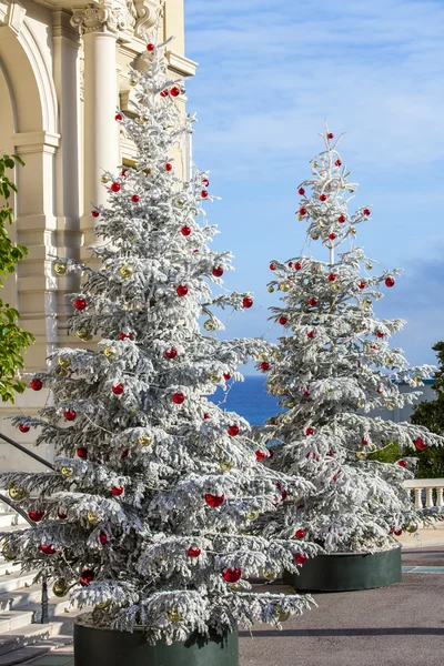 MONTE-CARLO, MONACO, on JANUARY 10, 2016. Christmas fir-trees near the building of a casino in Monte-Carlo. — Stock Photo, Image