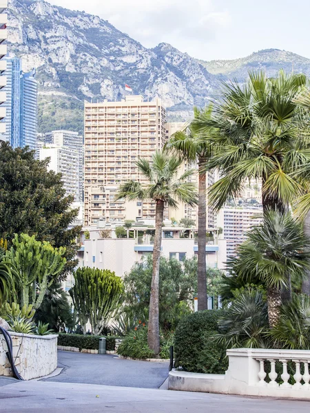 蒙特 Carlo，摩纳哥，在 2016 年 1 月 10 日。异域风情的花园，如画的风景的大道. — 图库照片