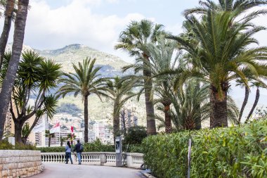Monte-Carlo, Monaco, üzerinde 10 Ocak 2016. Egzotik bahçeleri, ısmarlayarak Caddesi'nin.