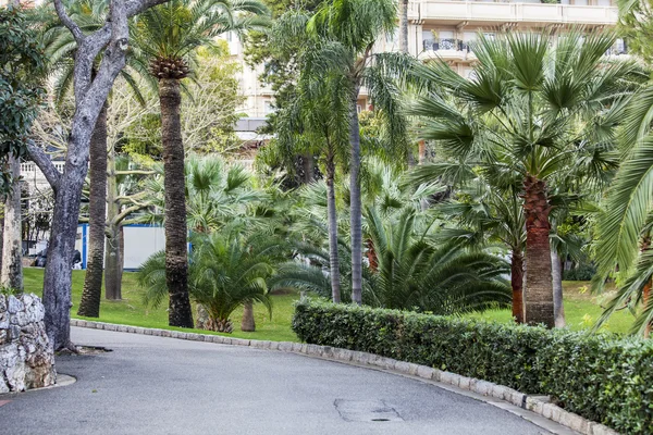모나코, monte Carlo에 1 월 10 일, 2016. 이국적인 정원의 그림 보기. — 스톡 사진